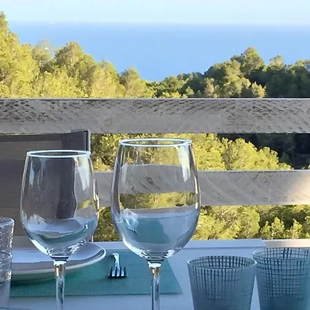 Mimosa Villa